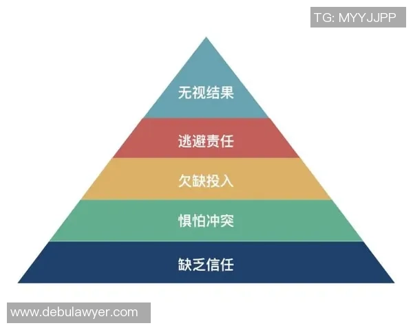 深圳排球队全运会精彩表现解析团队协作的重要性与未来发展方向